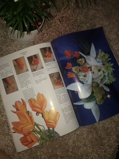 Книга для карвинга