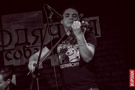 Скрипка на праздник