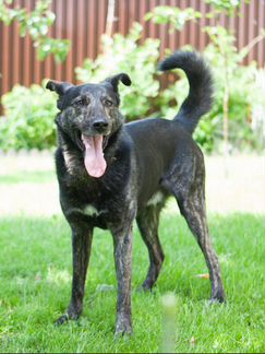 Граф ищет новый дом