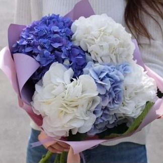 Гортензия букет из Гортензий