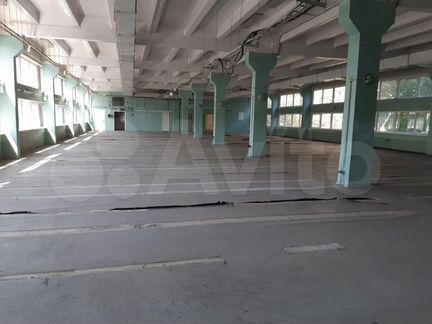 Помещение свободного назначения, 2425 м²