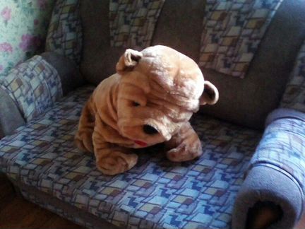 Большой пес