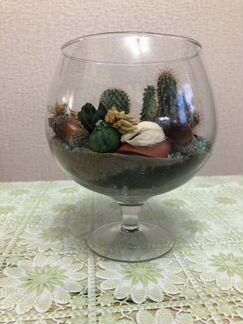 Флорариум в рюмке