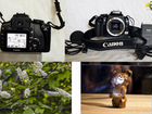 Фотокамеры разные объявление продам