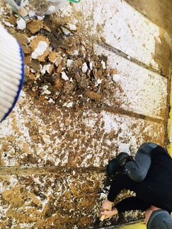 Ремонт домов из сип панелей