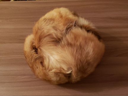 Мужская шапка