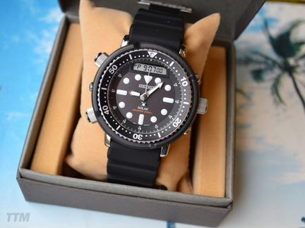 Seiko SNJ025P1 Solar Arnie
