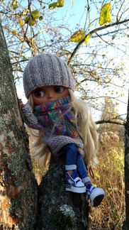 Одежда на куклу Блайз