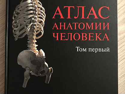 Атлас синельникова анатомия 2 том. Синельников атлас. Атлас анатомии человека Синельникова 2009. Синельников второй том. Атлас анатомии человека Синельникова 2009 2 том.