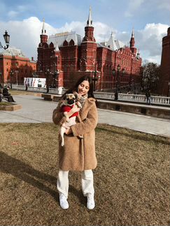 Догситер, передержка мопсов, в квартире